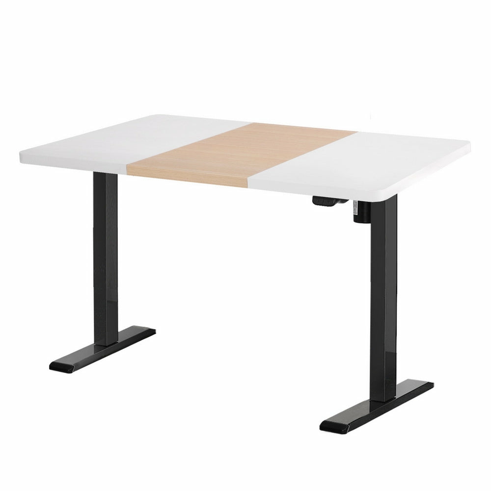 Dual-Motor Adjustable Standing Desk 120Cm Furniture