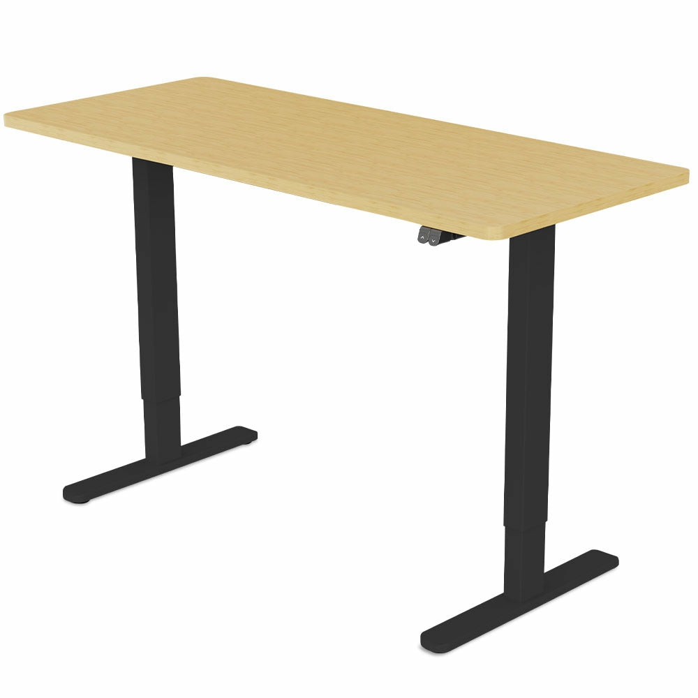 Electric Sit Stand Desk Furniture