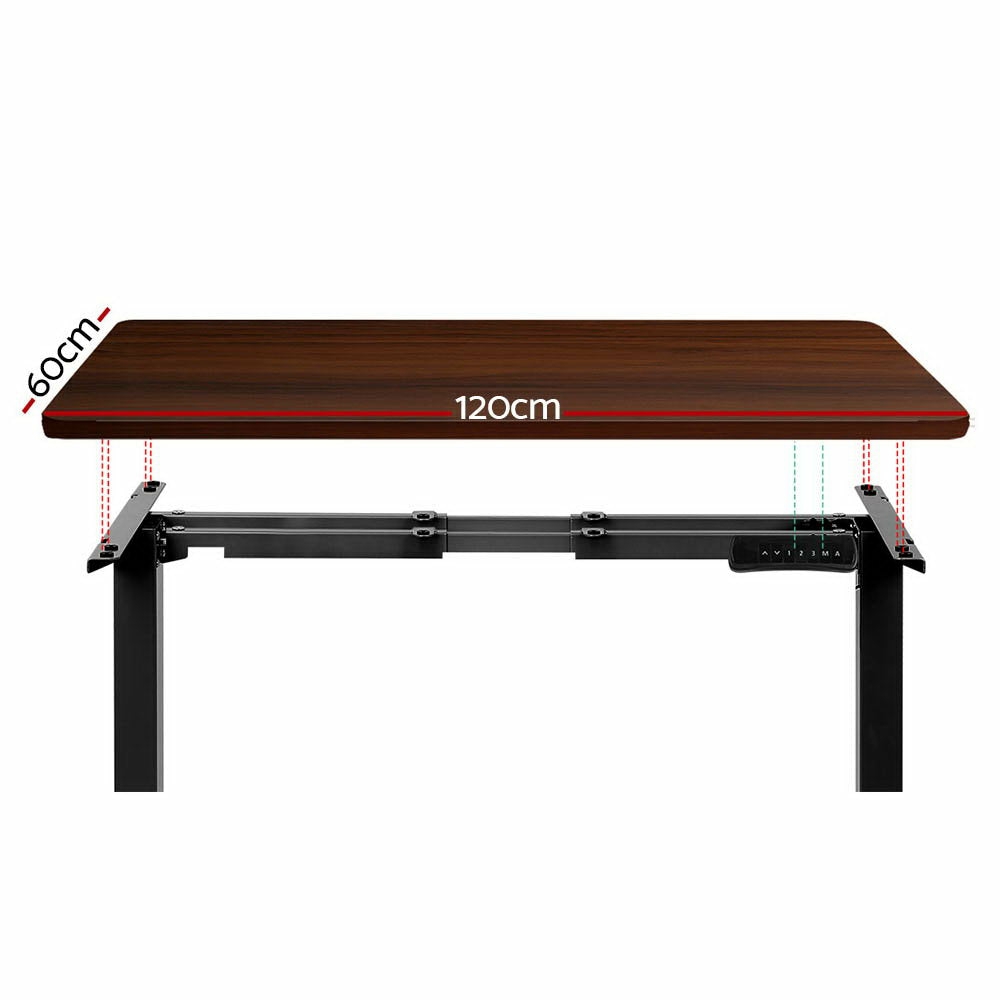 Height Adjustable Dual Motor Desk 120Cm Walnut Furniture